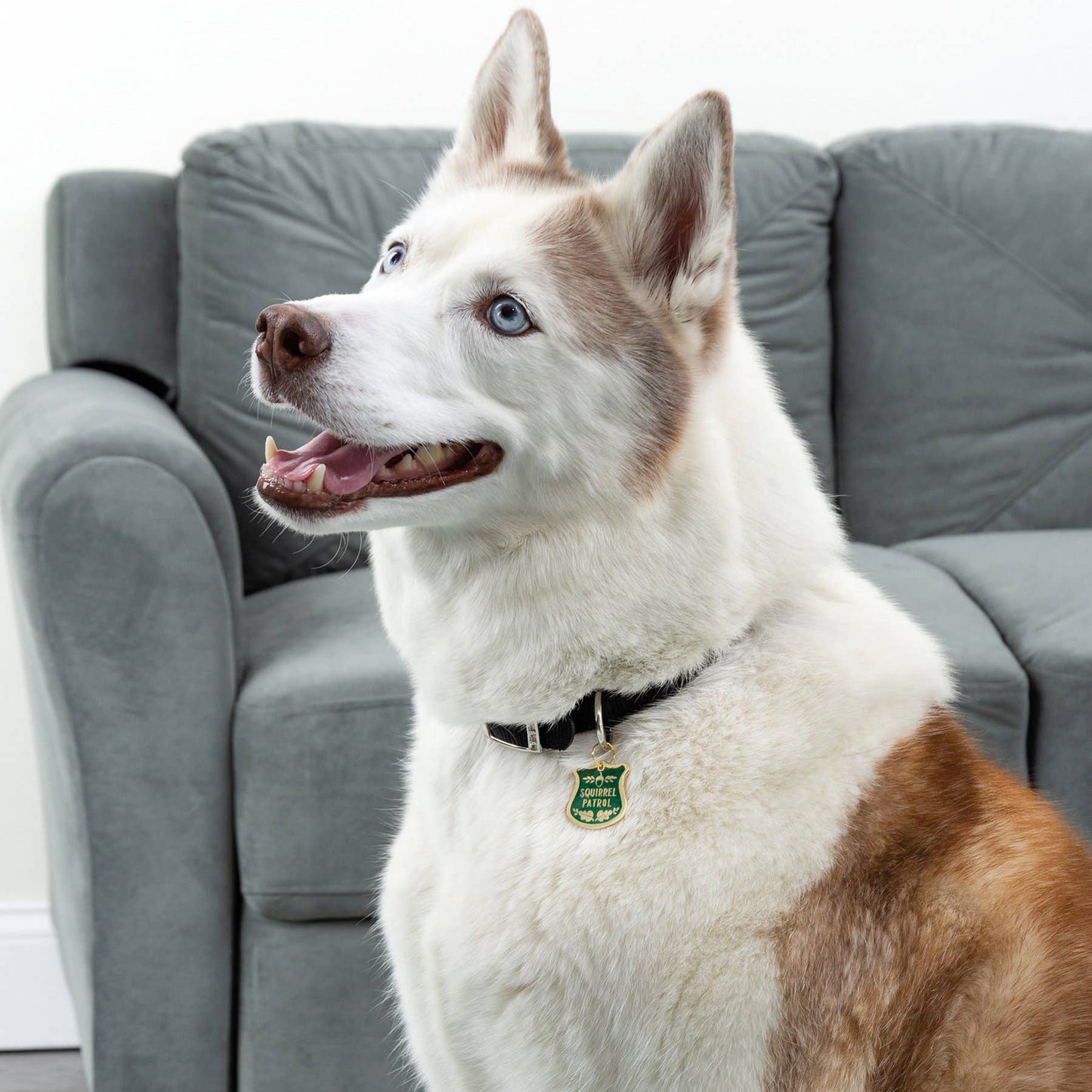 Squirrel Patrol Collar Charm