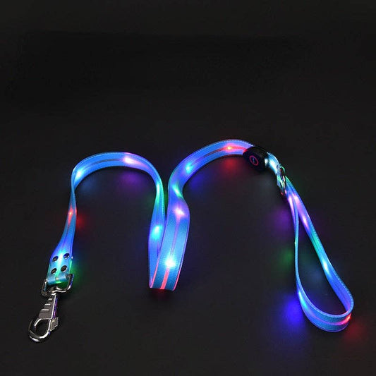 LED Dog Leash