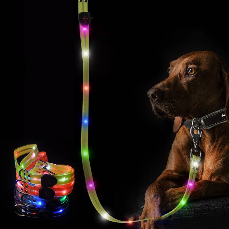 LED Dog Leash