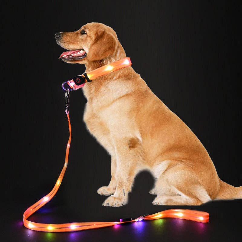 LED Dog Leash